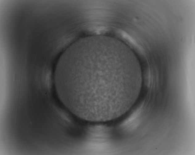 X0000092070594200709262047