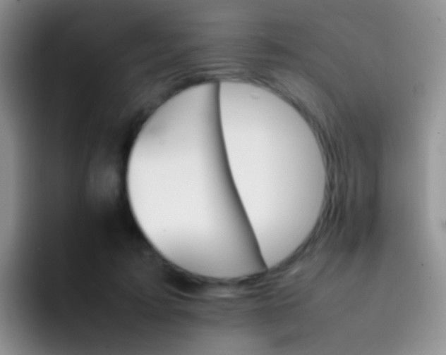 X0000092070595200709262047