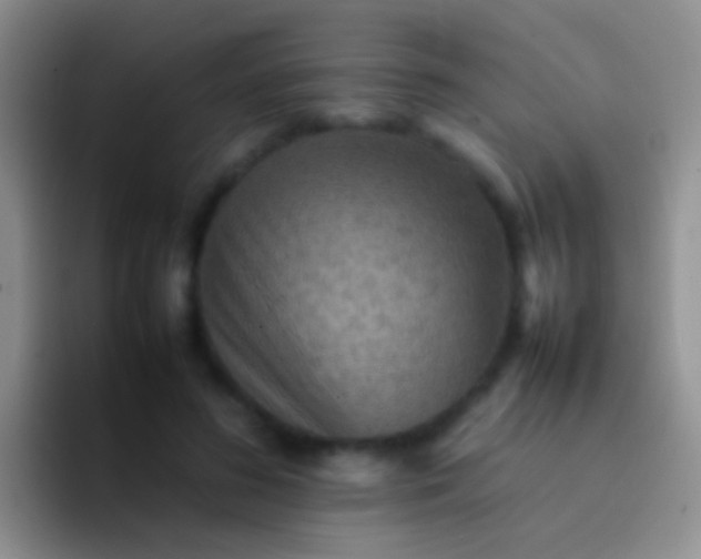 X0000092070596200709262047