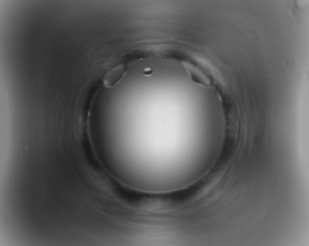 X0000092070597200709262047