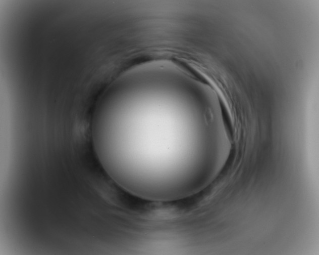 X0000092070601200709262047