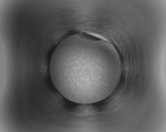 X0000092070615200709262047