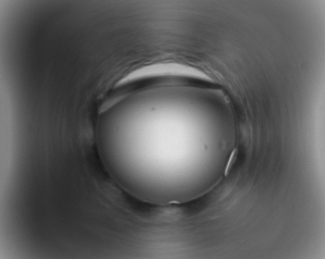 X0000092070617200709262047