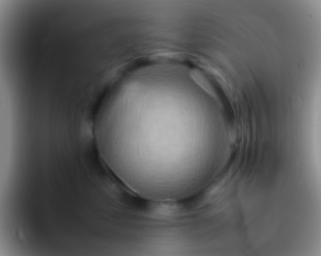 X0000092070621200709262047