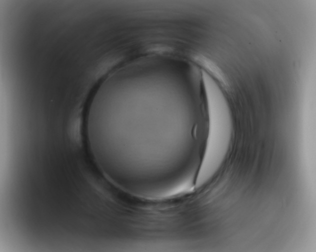 X0000092070627200709262046