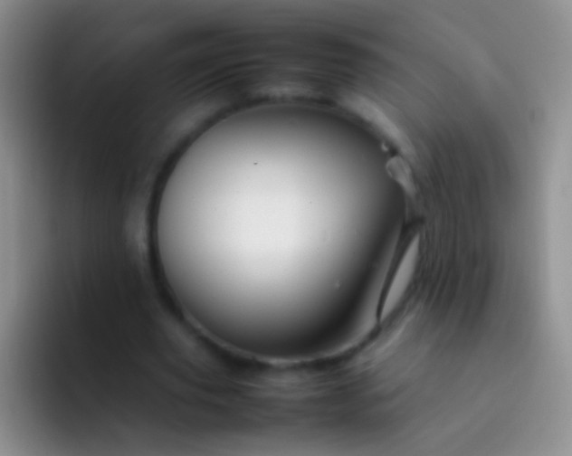 X0000092070629200709262046