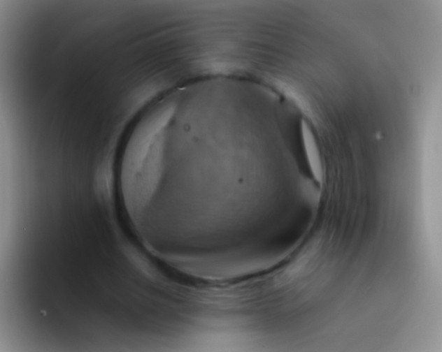 X0000092070630200709262046