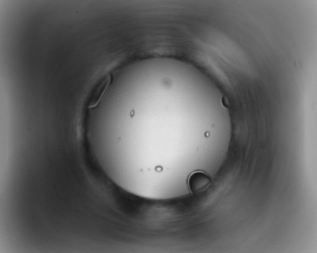 X0000092070635200709262046