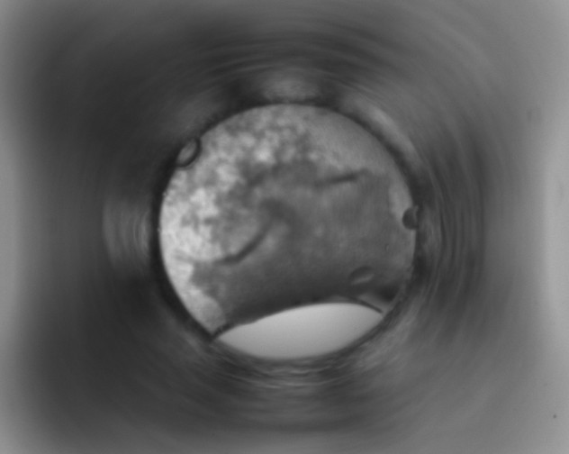 X0000092070637200709262046