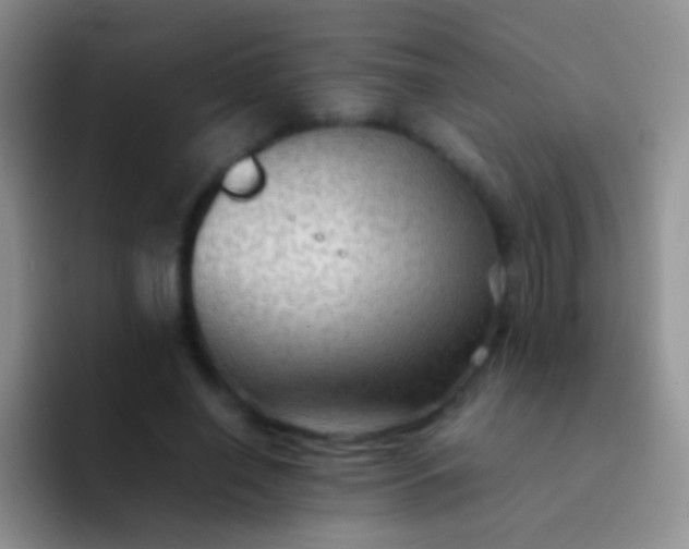 X0000092070638200709262047