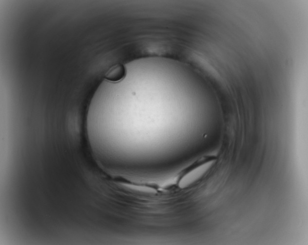 X0000092070639200709262047