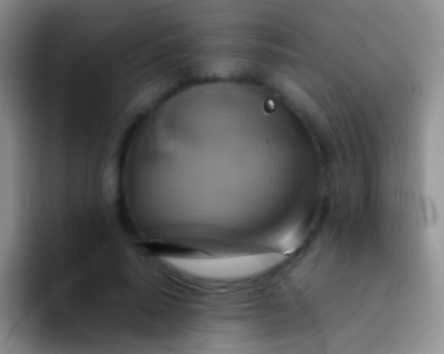 X0000092070640200709262047