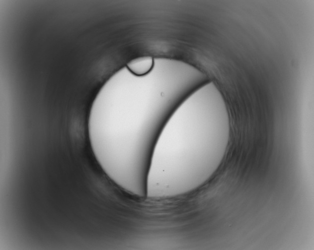 X0000092070642200709262047