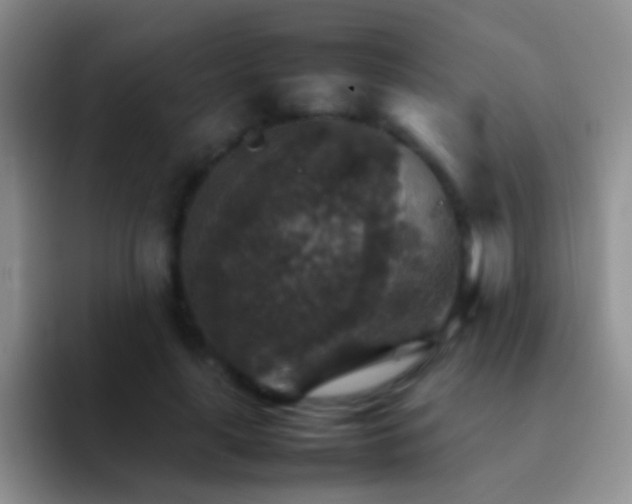 X0000092070643200709262047