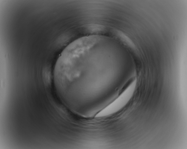 X0000092070644200709262047