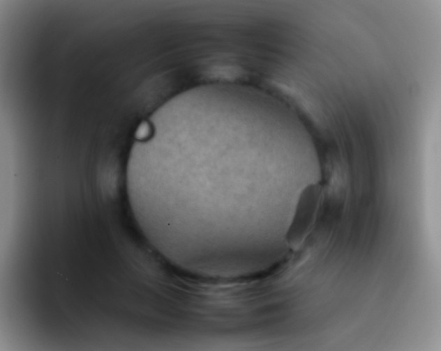 X0000092070647200709262047