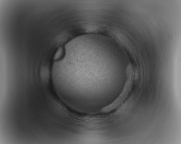 X0000092070648200709262047