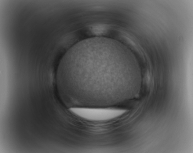 X0000092070651200709262047