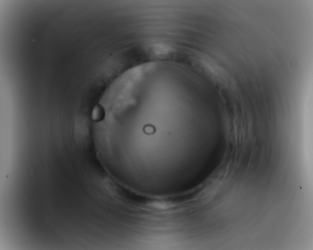 X0000092070654200709262047