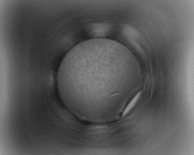 X0000092070655200709262047