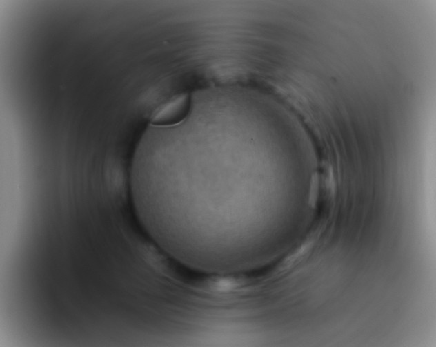 X0000092070662200709262047