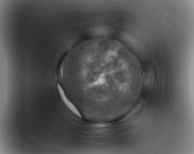 X0000092070669200709262047