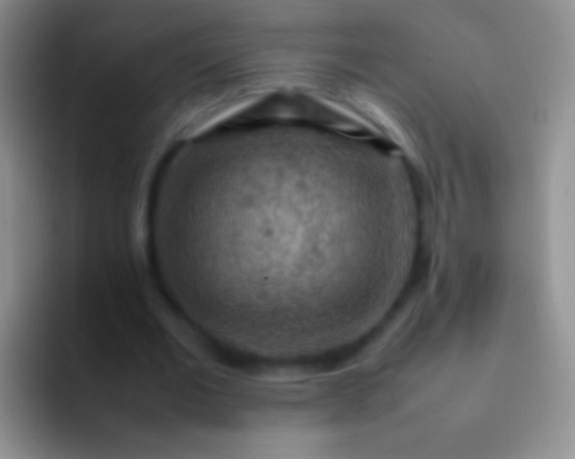 X0000092070677200709262046