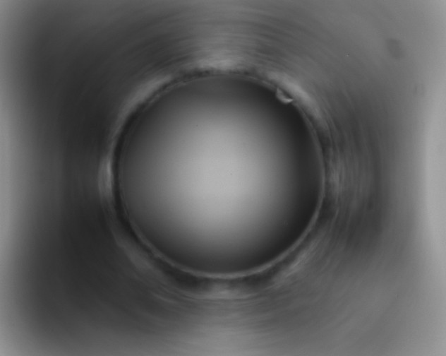 X0000092070678200709262046