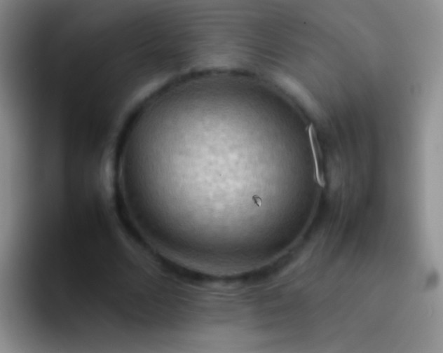 X0000092070680200709262046