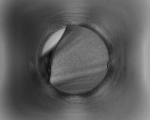 X0000092070685200709262046