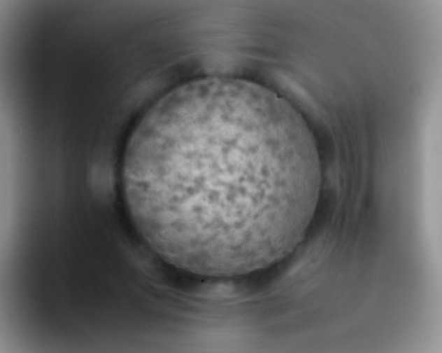 X0000092070687200709262046