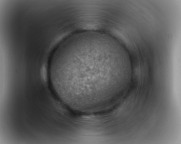 X0000092070688200709262046