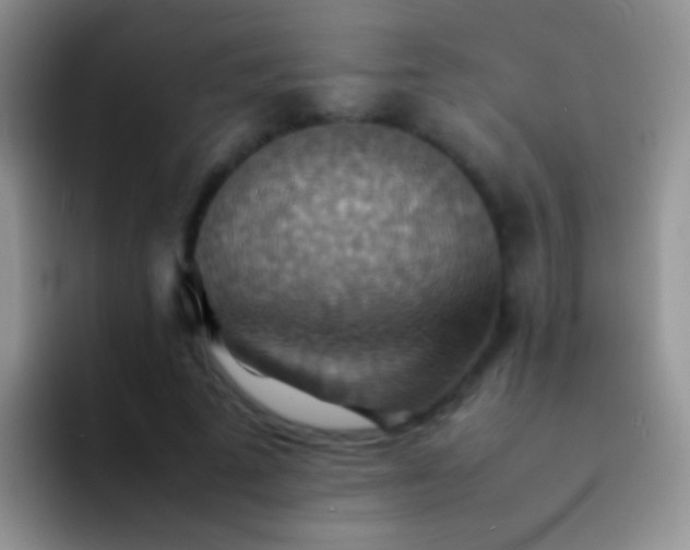 X0000092070689200709262046