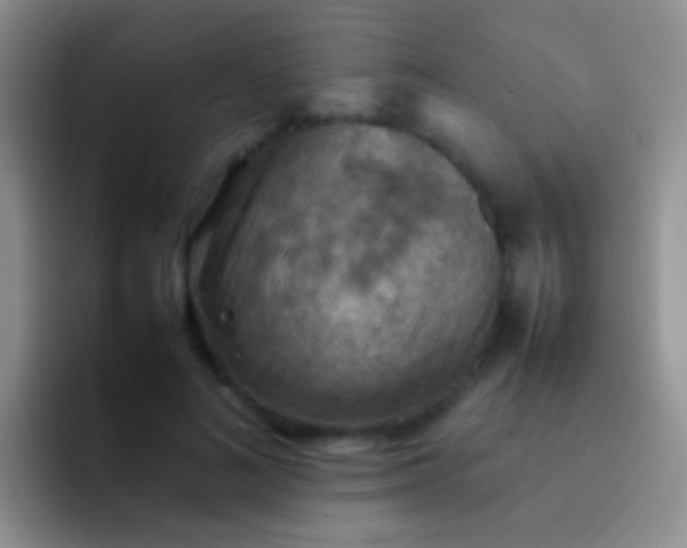 X0000092070692200709262046