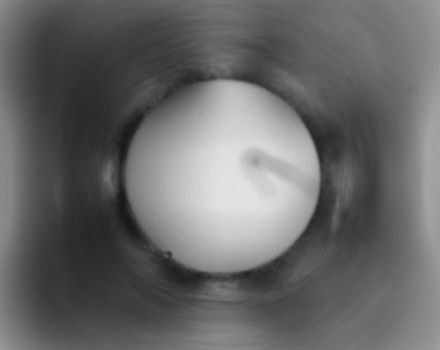 X0000092070694200709262046