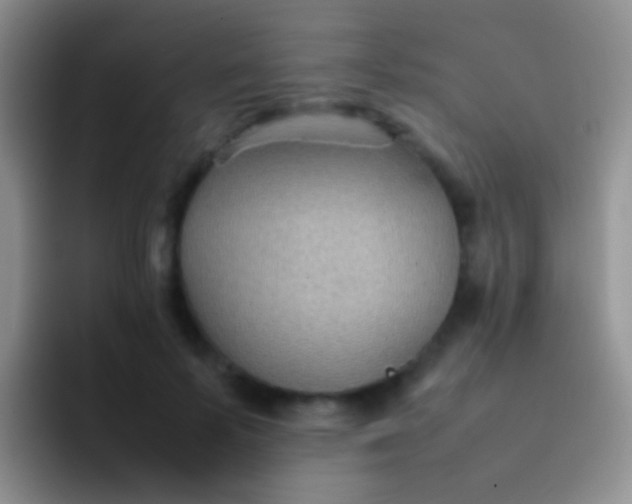 X0000092070695200709262046