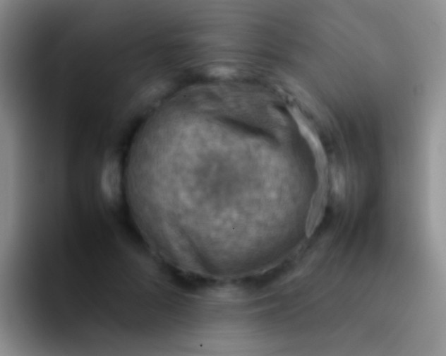 X0000092070696200709262046