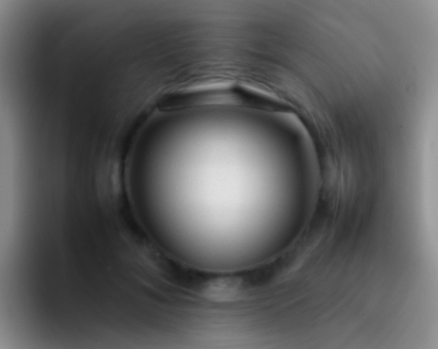 X0000092070700200709262046