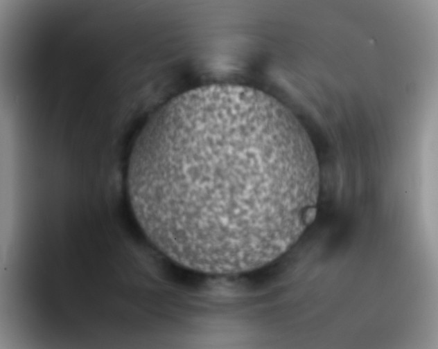 X0000092070703200709262046