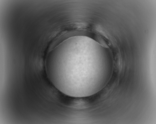 X0000092070704200709262046