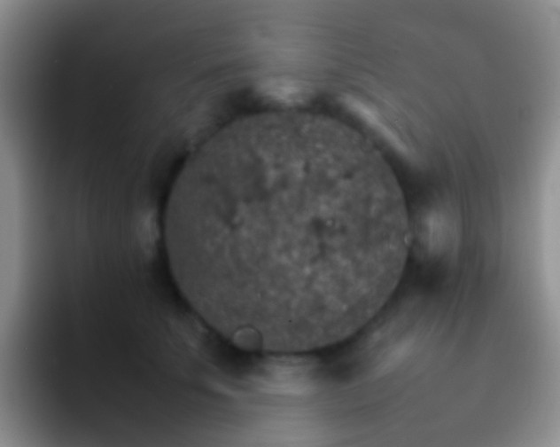 X0000092070707200709262046