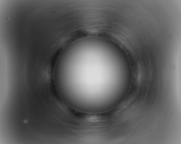 X0000092070710200709262046