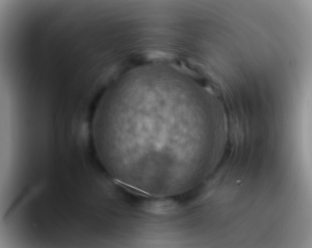 X0000092070716200709262046