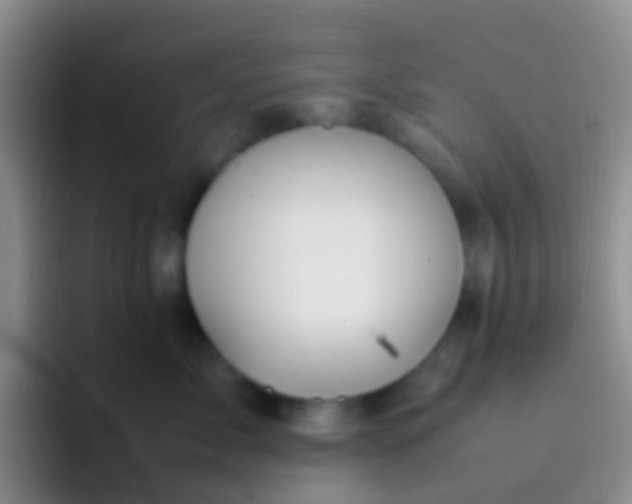 X0000092070717200709262046