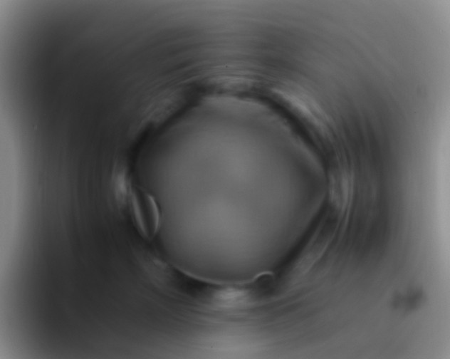 X0000092070718200709262046