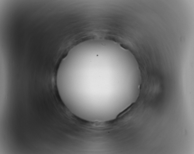 X0000092070720200709262046