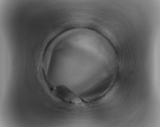 X0000092070721200709262045