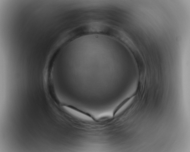 X0000092070722200709262045