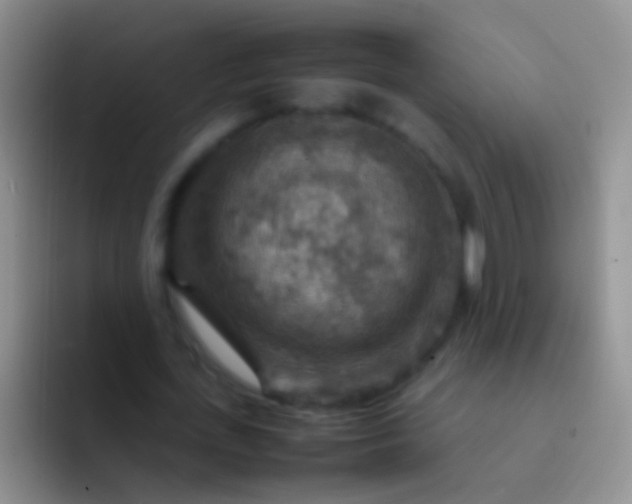 X0000092070723200709262045