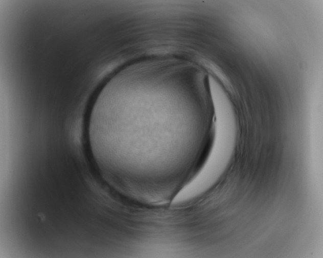 X0000092070724200709262045